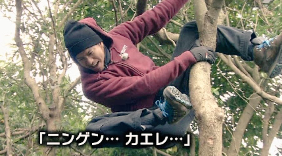 Maple در توییتر ジャニーズのレジェンドゴリラたち 長瀬智也 岡田准一 大野智 ジェシー New モニタリング ジェシー