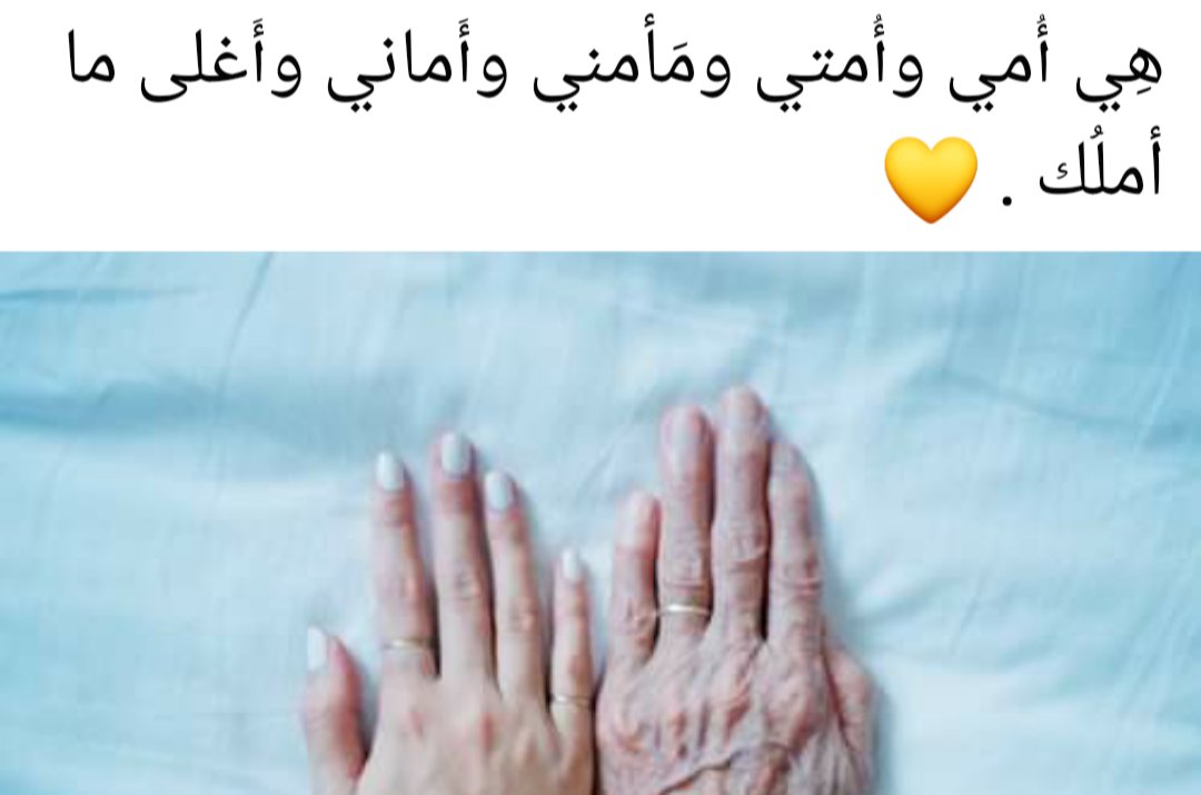 dena mohamed 🇪🇬 tweet media