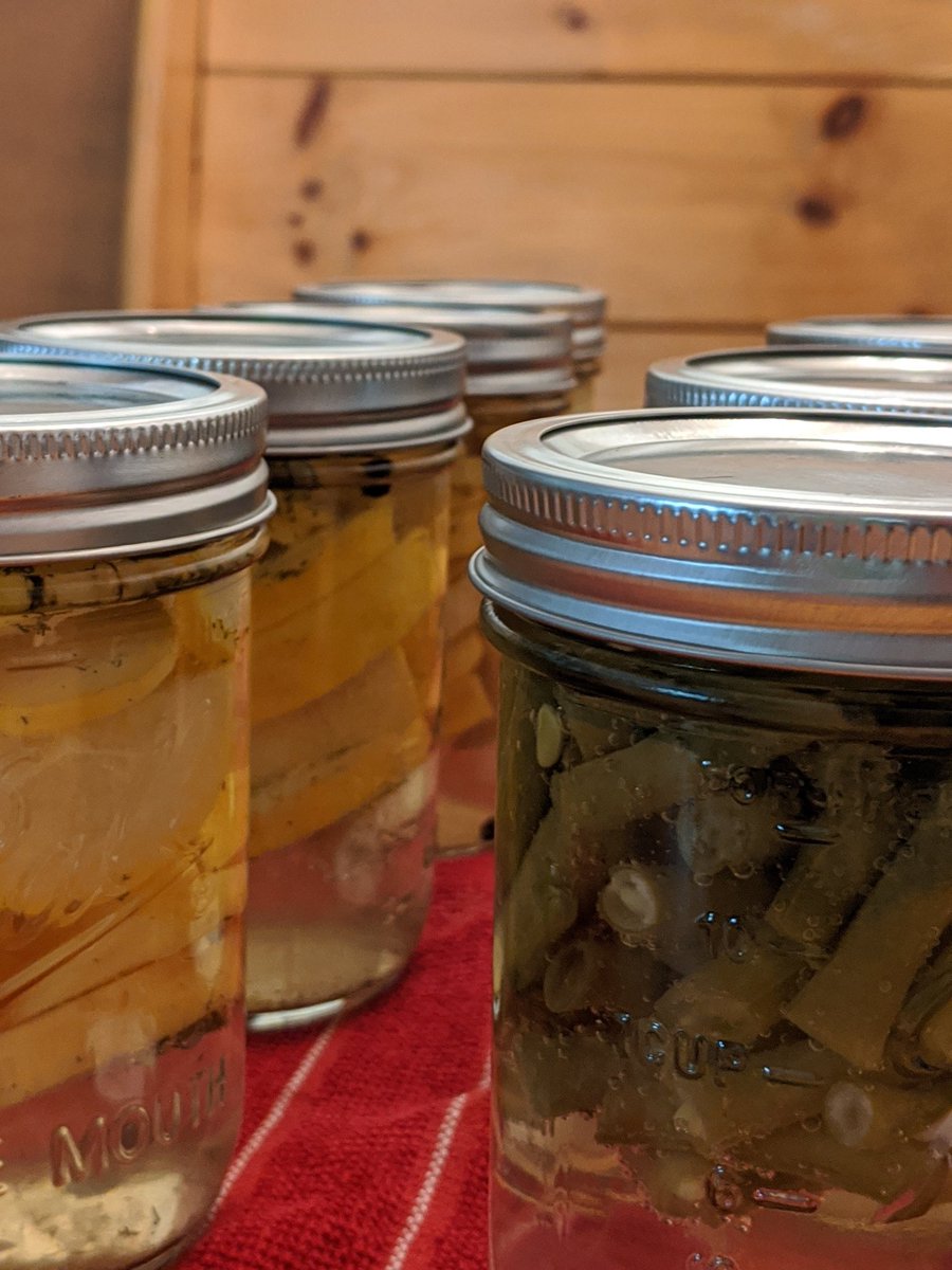 4 pints pickled summer squash and 4 pints pickled green beans.