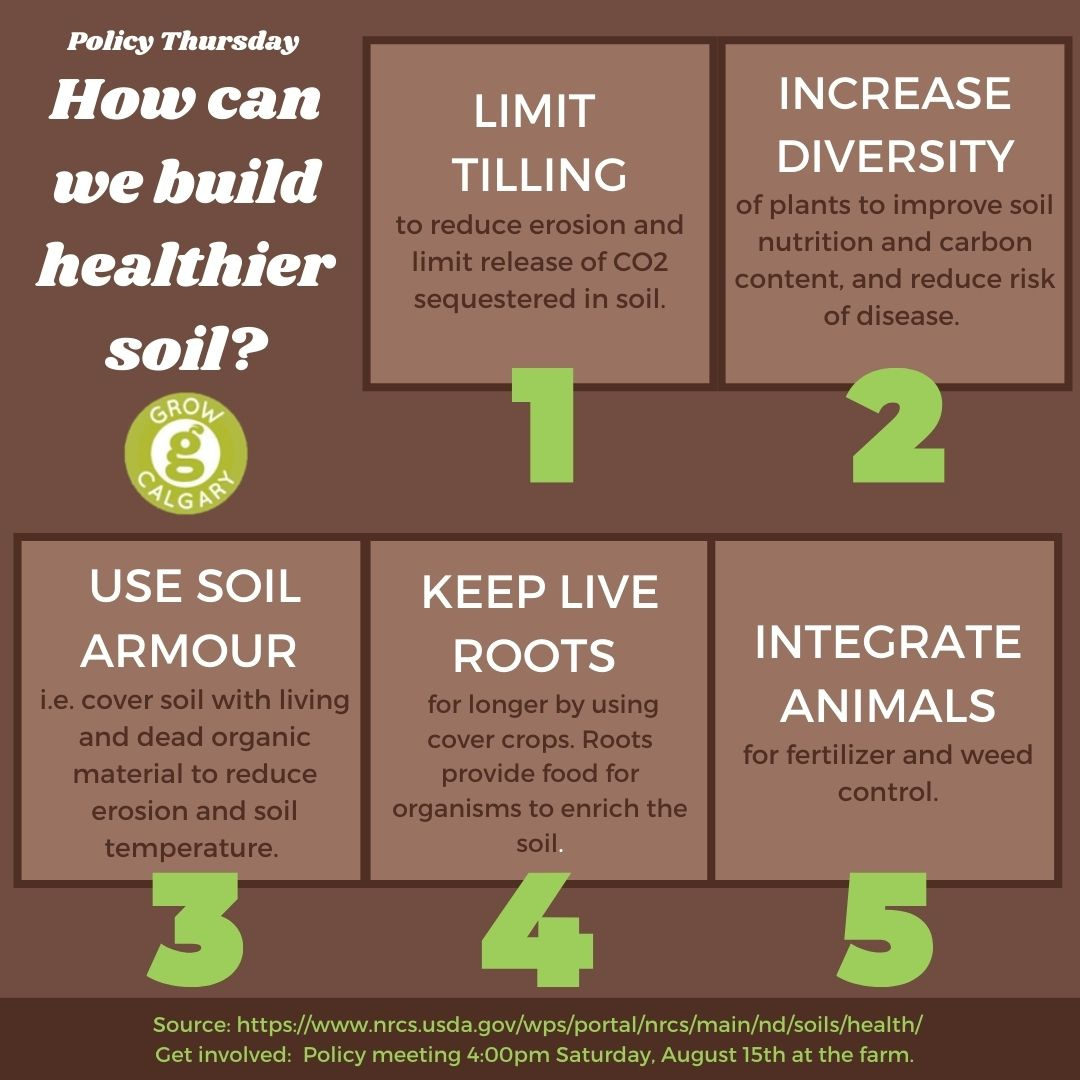 GrowCalgary's tweet photo. Let's build healthy soil! #growvid2020 #growcalgary #urbanag #yycfood #soilhealth https://t.co/ADuMGXPeM7