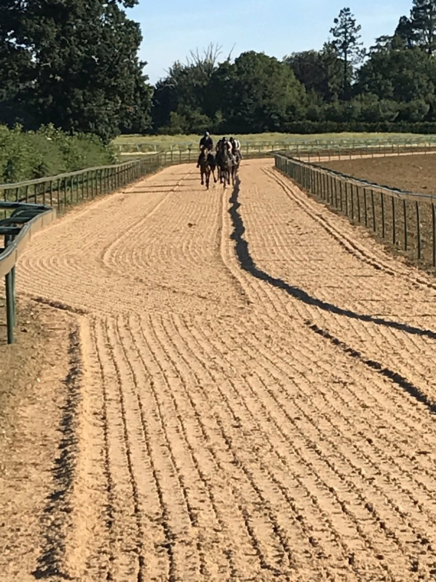 Tomorrow 14th August the gallops are full from 1200hr - 1600hr.