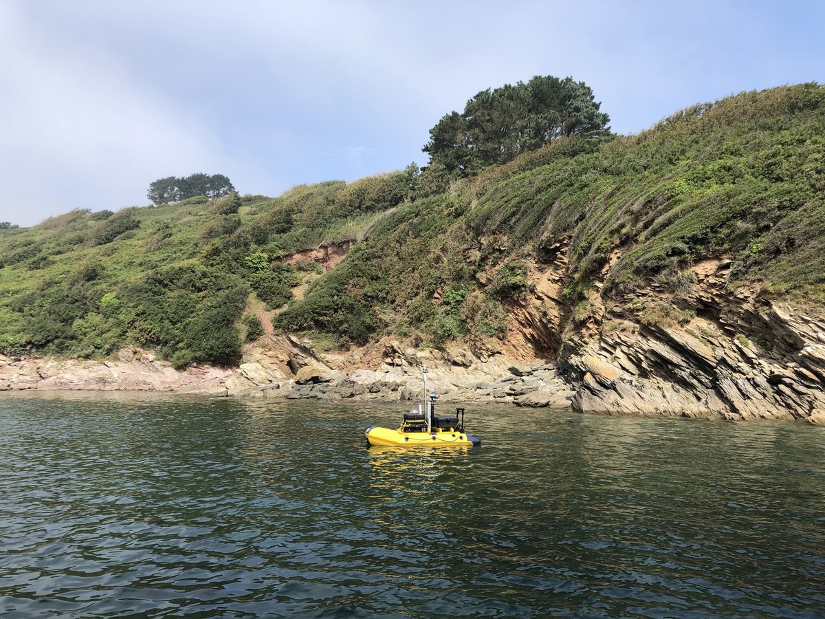 Tim Scott tweet media