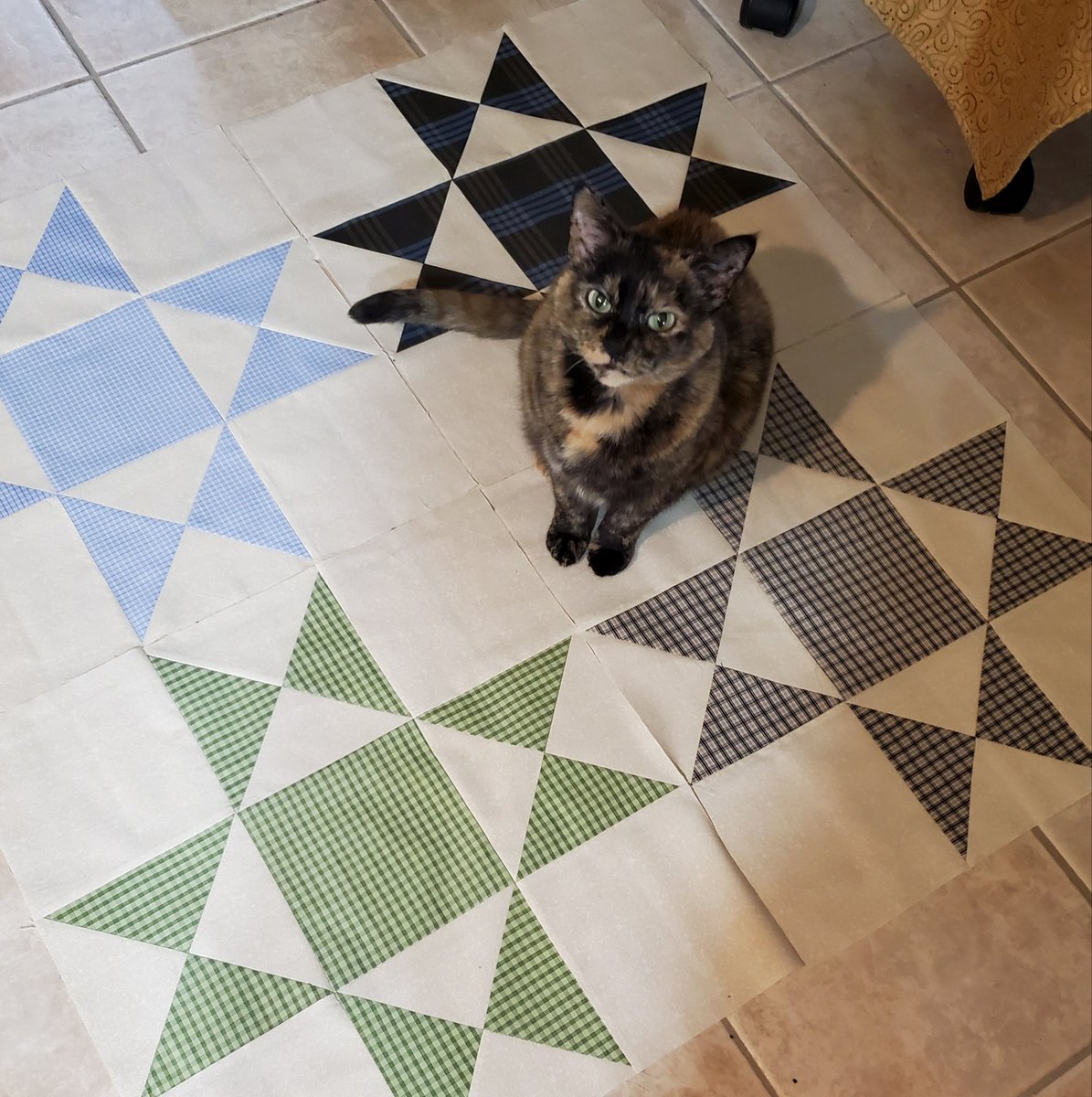 QuiltsofHonor's tweet image. Oh how I loved her so. 
Today was the day our beautiful CC left us. She was diagnosed with a mammary tumor in April. We treasured every moment with her.
She was a constant quilting companion and thought every quilt was hers. 
Run free little girl. You will be missed.