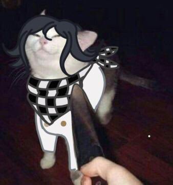 PiggyAddict's tweet photo. @x_rockieashes_x ....You’ll never take me alive- https://t.co/W0uHlwLzyk