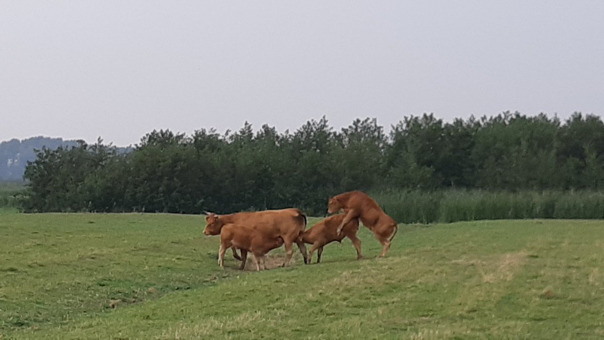 Tja het is maar waar je priotiteiten liggen?