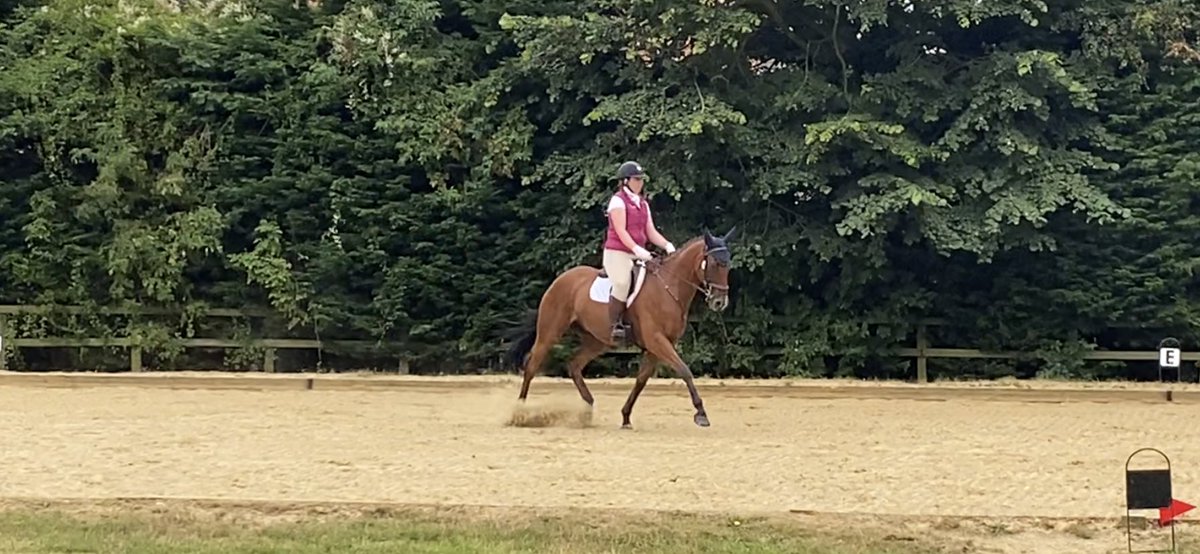 Day off was worth it 😀Super chuffed our team won today so we’ve made it to the magic 50 points in <a href="/TeamQuestBD/">Quest Club BD</a> in the super popular northern region 🥳👏💃 fingers crossed that’s our regional spot sorted 🤞#teampink <a href="/horsewardrobe/">The Horse Wardrobe</a> <a href="/EquiFeast/">Equifeast</a> <a href="/StudMuffinsUK/">Stud Muffins</a>