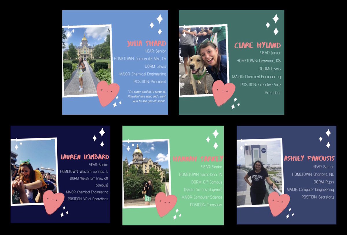 Notre Dame SWE tweet media