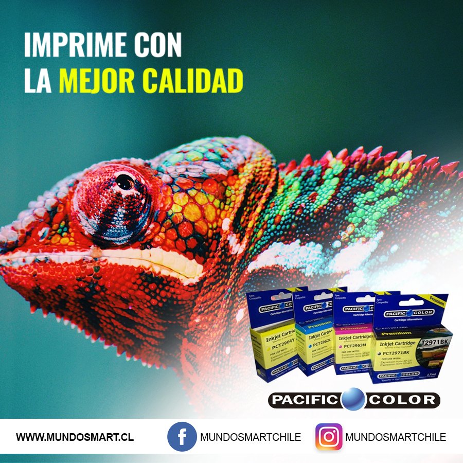 mundosmartchile's tweet photo. La mejor alternativa en Cartuchos y Tintas para impresoras con el máximo de rendimiento y bajo costo.

#tintas
#catridge
#impresoras
#impresorashp
#cartuchosalternativos
#alternativos https://t.co/TlJaB0Y8dt