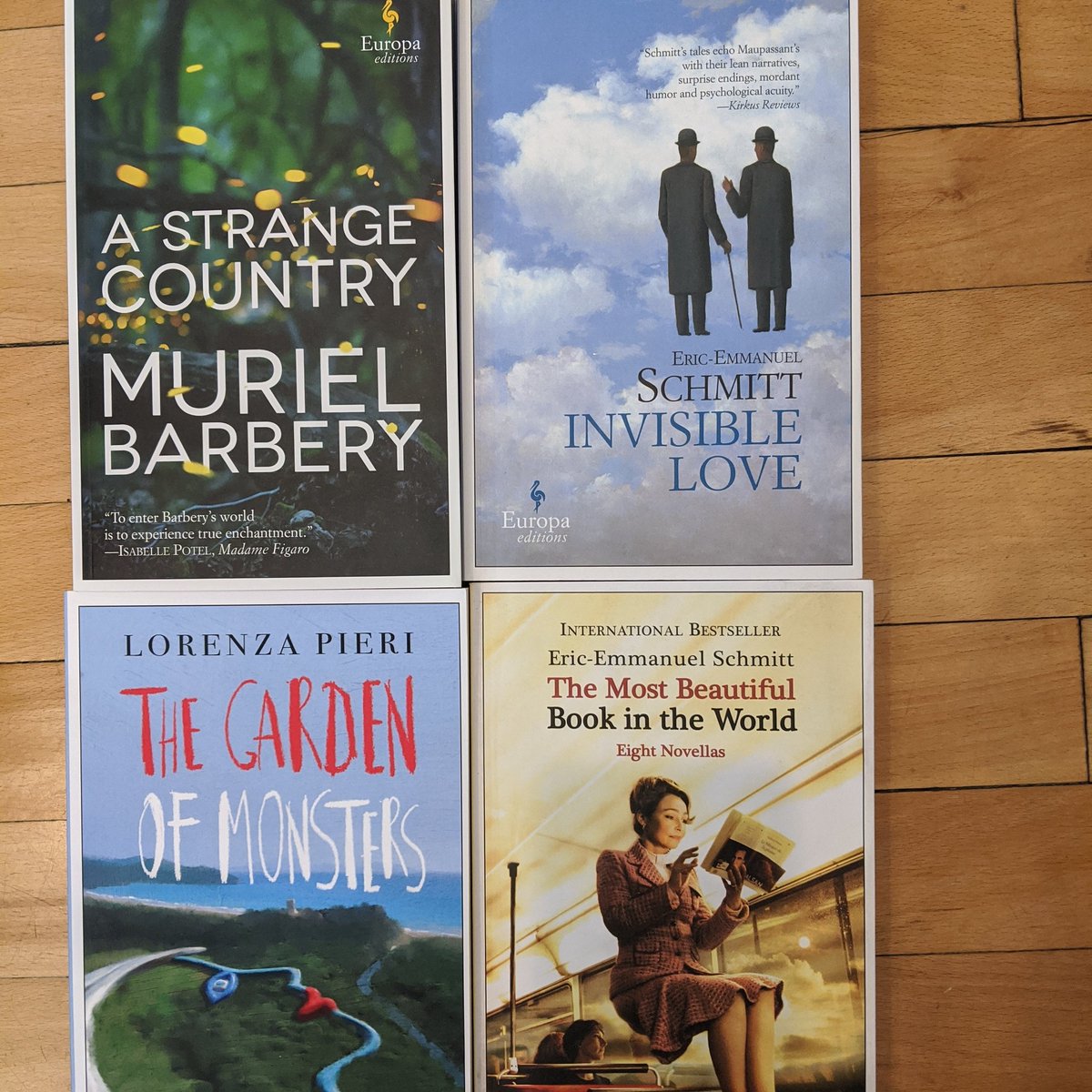 NovelBayBooks's tweet photo. Delicious novels from @europaeditions #indiebookstore #readabook #readersareleaders📚 #travelinabook #independentbookstores #independentbookseller #sturgeonbay #doorcounty https://t.co/3z9MviHw43