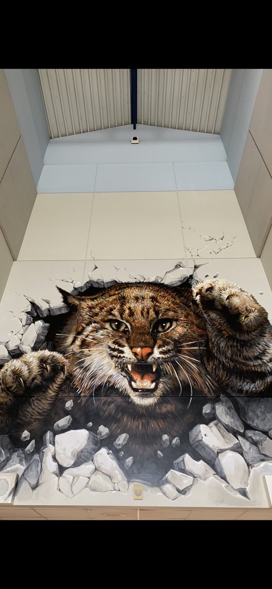 You could say we are changing the energy as you enter McMeans Junior high! Before and after pictures of our entrance!