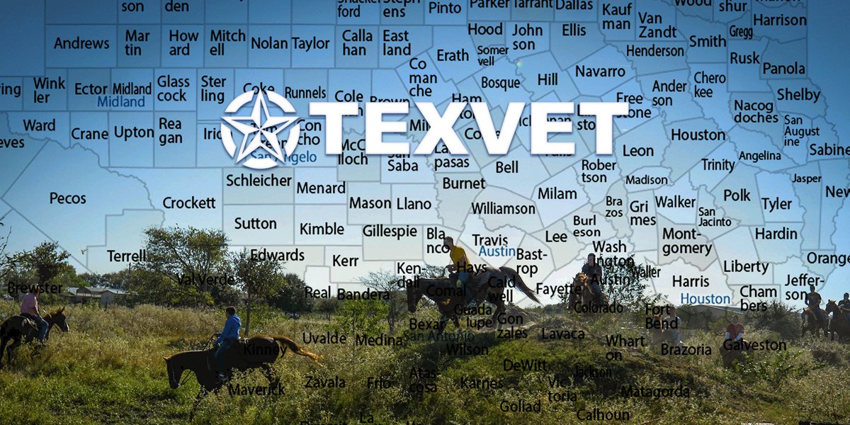 TexVet tweet media