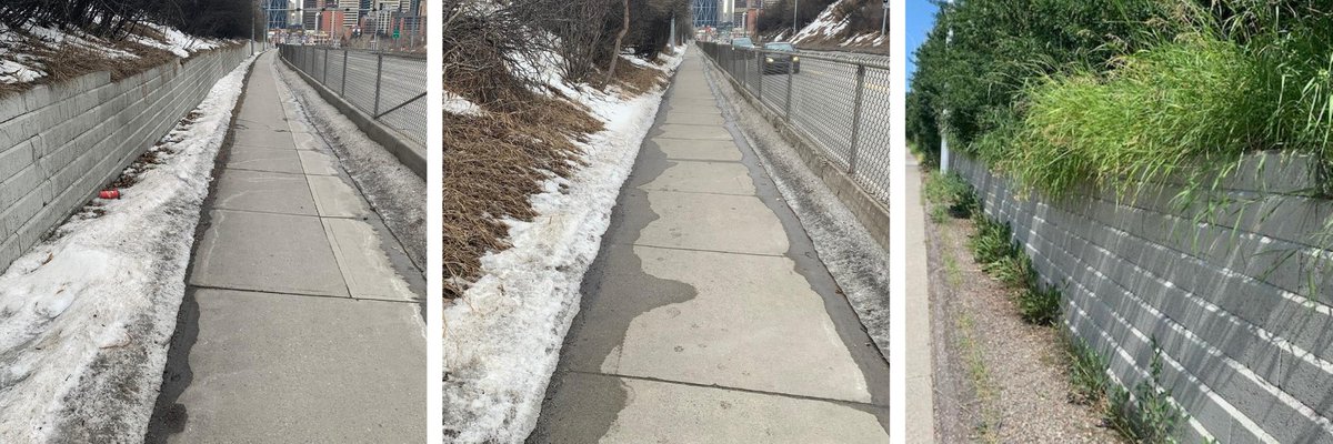 One of the artists, Sydonne Warren, who will be working on our new! mural on Centre Street (this retaining wall from Samis Rd to 7th) would like to do portraits of people who live or work in Crescent Heights.

Please email her a photo at sydonne.warren@gmail.com by this Saturday!