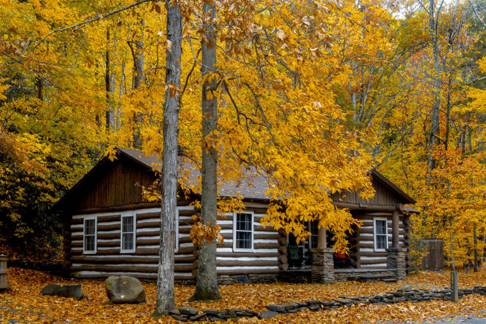 I didn't use technology for 5 days last week.Went to a cabin in the middle of nowhere. Brought some books, my journal, and my mind.Here's the highly requested Post-Retreat Report Thread...