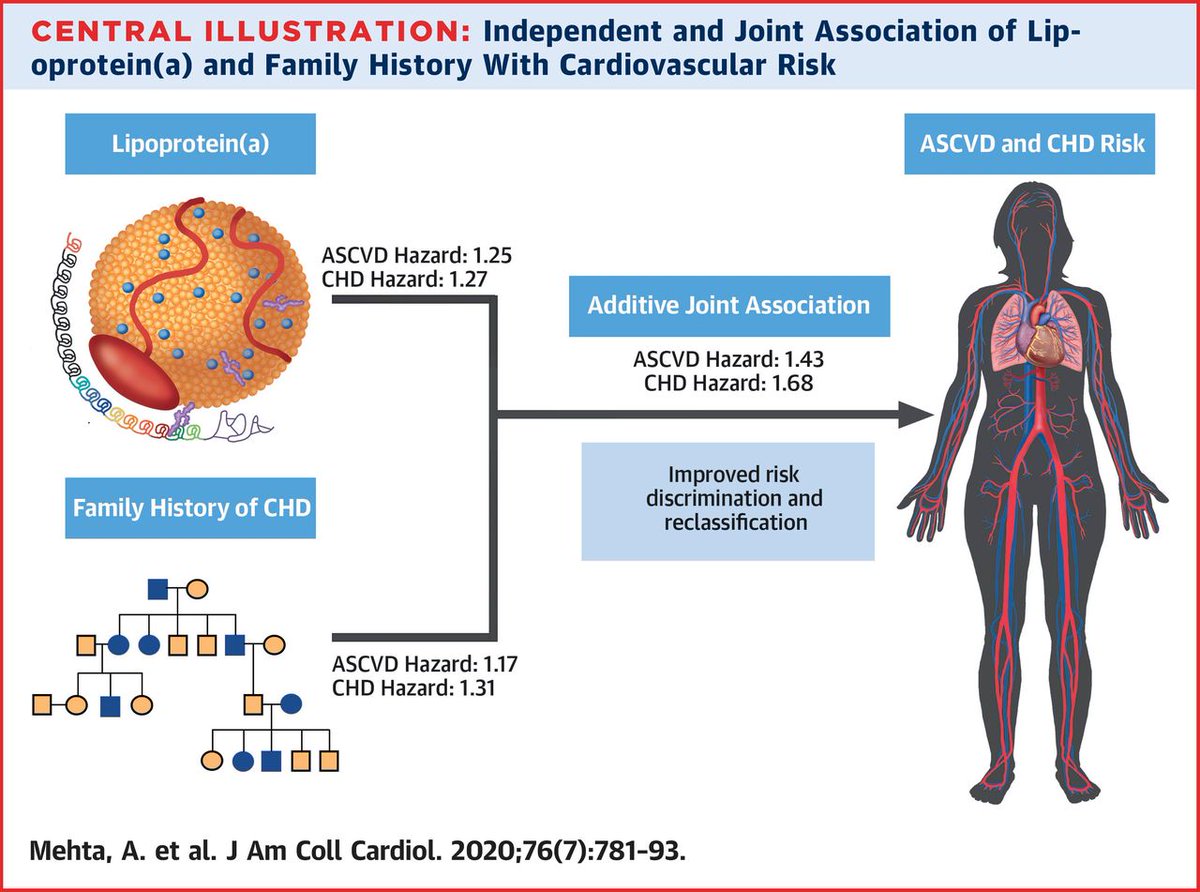 JACC Journals (@jaccjournals) on Twitter photo New research shows how Lp(a) and family history can have additive and independent associations with #CVD risk: Do you check Lp(a)? bit.ly/3fMhgDK #JACC <a href="/amehta_09/">Anurag Mehta</a> <a href="/dramitkhera/">Amit Khera</a> <a href="/virani_md/">Salim Virani</a> <a href="/CBallantyneMD/">Christie Ballantyne</a> New research shows how Lp(a) and family history can have additive and independent associations with #CVD risk: Do you check Lp(a)? bit.ly/3fMhgDK #JACC <a href="/amehta_09/">Anurag Mehta</a> <a href="/dramitkhera/">Amit Khera</a> <a href="/virani_md/">Salim Virani</a> <a href="/CBallantyneMD/">Christie Ballantyne</a>