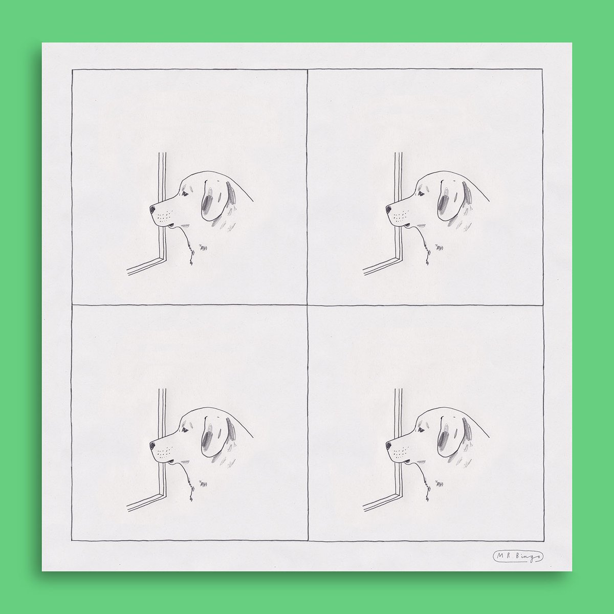 Mr Bingo 𓄚 tweet media