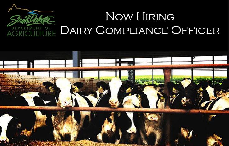SD_DANR's tweet photo. Check it out - our East River Dairy Compliance Officer Position is open! For more information go to: https://t.co/cXc9noLbDA #SDAgProud https://t.co/Q25ijxVl2Z