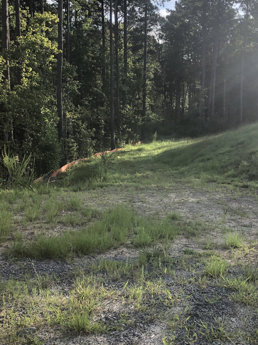 Smith Farm Community Apex by Lennar (smith_farm_apex) Twitter