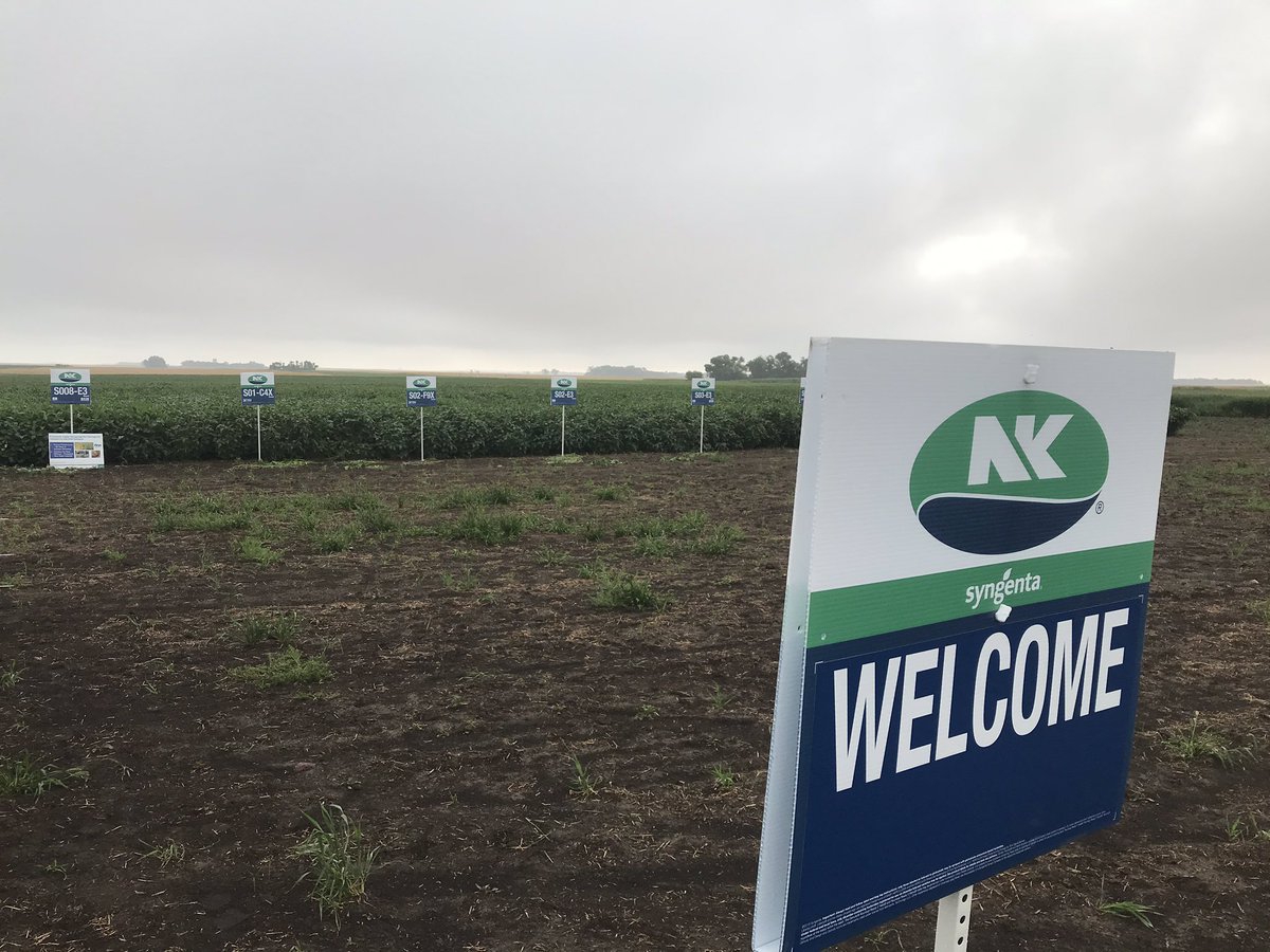 RocknRollAgrnmy's tweet photo. Checking my wheat plots by Velva and right next door is @NorthernNK Matt and @BraaschTiffany. Hosting @DakotaAgronomy. Genetics and #BushelLager. @NKSeeds What are the odds? https://t.co/6invP8jXBS