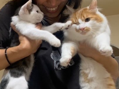 cgmnmy075's tweet photo. なにも無しで、私ひとりで😭❤️本当に感動したし、今まで以上に愛猫からの愛情とか信頼みたいなのが感じ取れた気がして更にさらに愛が増した😭❤️いつも本当に心からありがとう😭足りない所だらけのママだけどこれからも頑張るからよろしくね愛してるよ🥺❤️(完全なる親バカです) https://t.co/t7ToZ13aXA