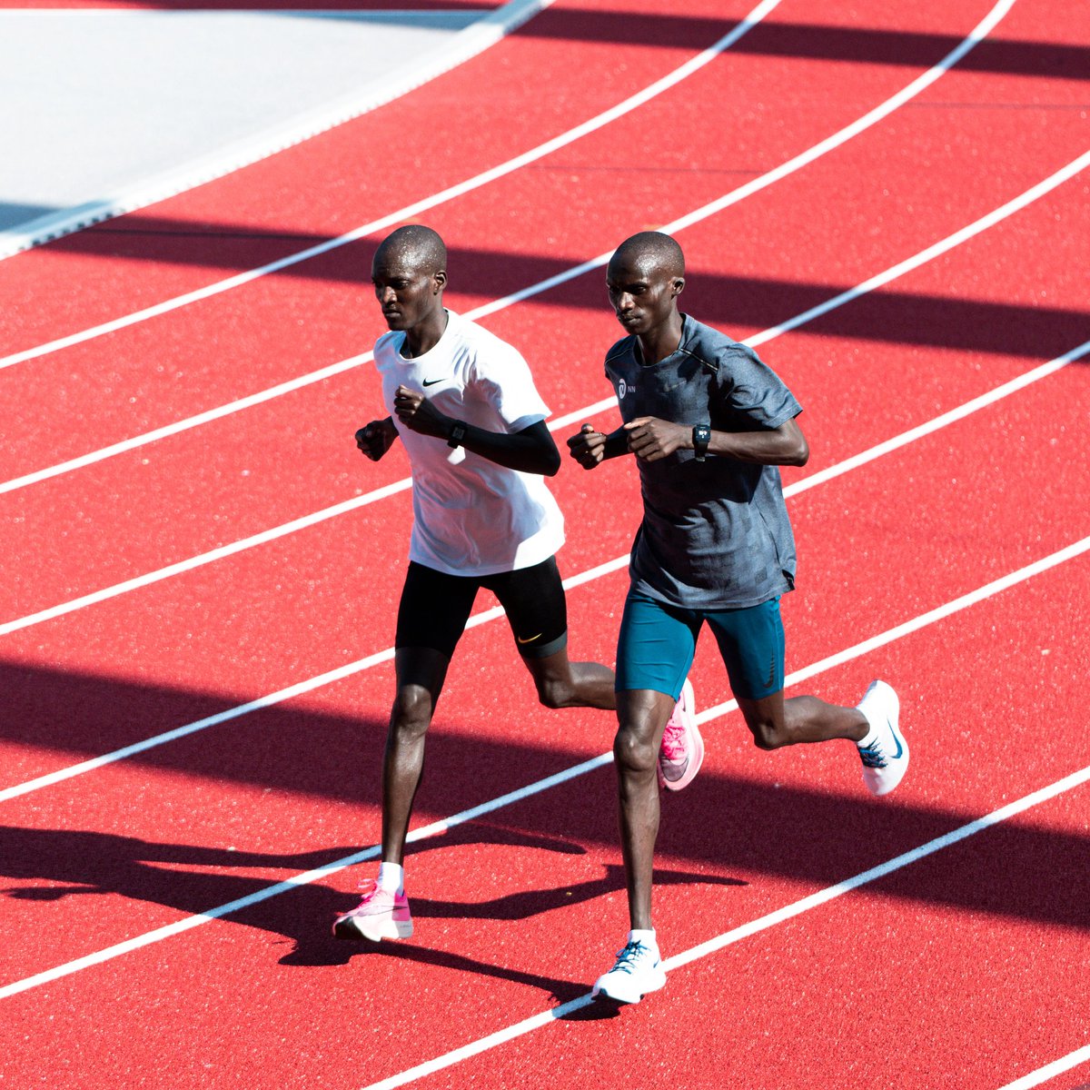 dsmfrunningteam's tweet photo. Go get that World Record @joshuacheptegei ⚡ https://t.co/1RvXTDSNgK