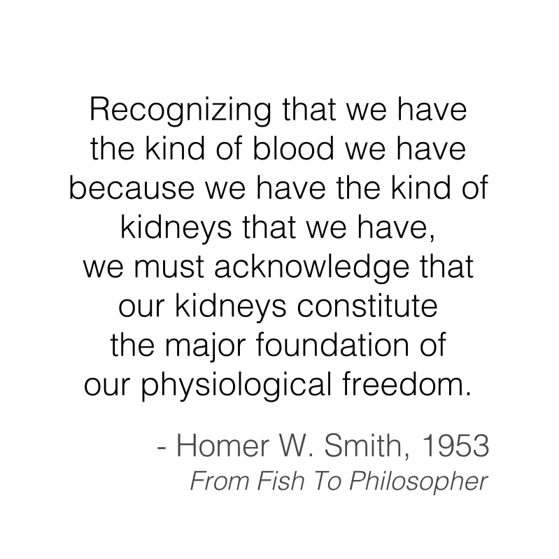 Thanks in part to ADH, kidneys can effectively concentrate urine to meet a range of homeostatic needs.Or, in the words of Homer W. Smith…(Read a reprint of his classic text here:  https://anatomypubs.onlinelibrary.wiley.com/doi/epdf/10.1002/ar.a.20017)