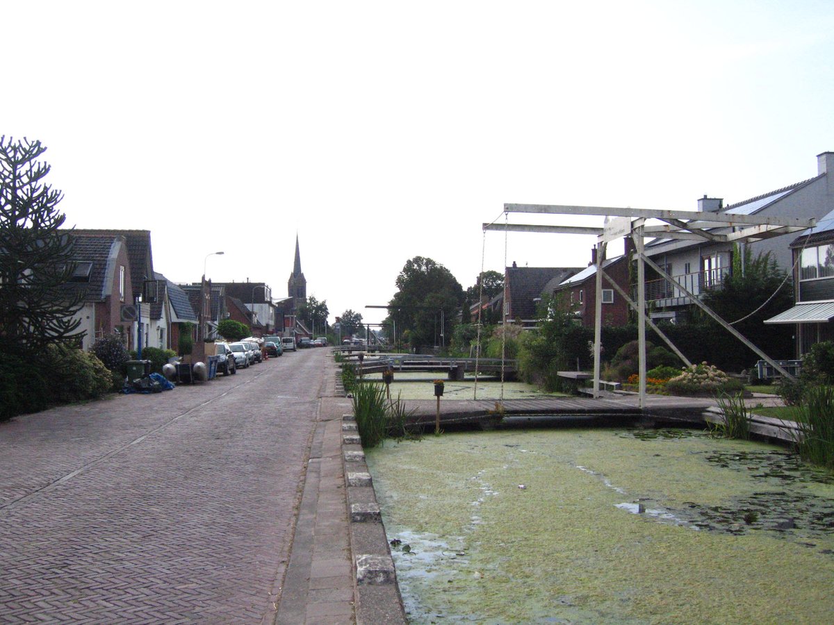 Angelfish888 tweet media