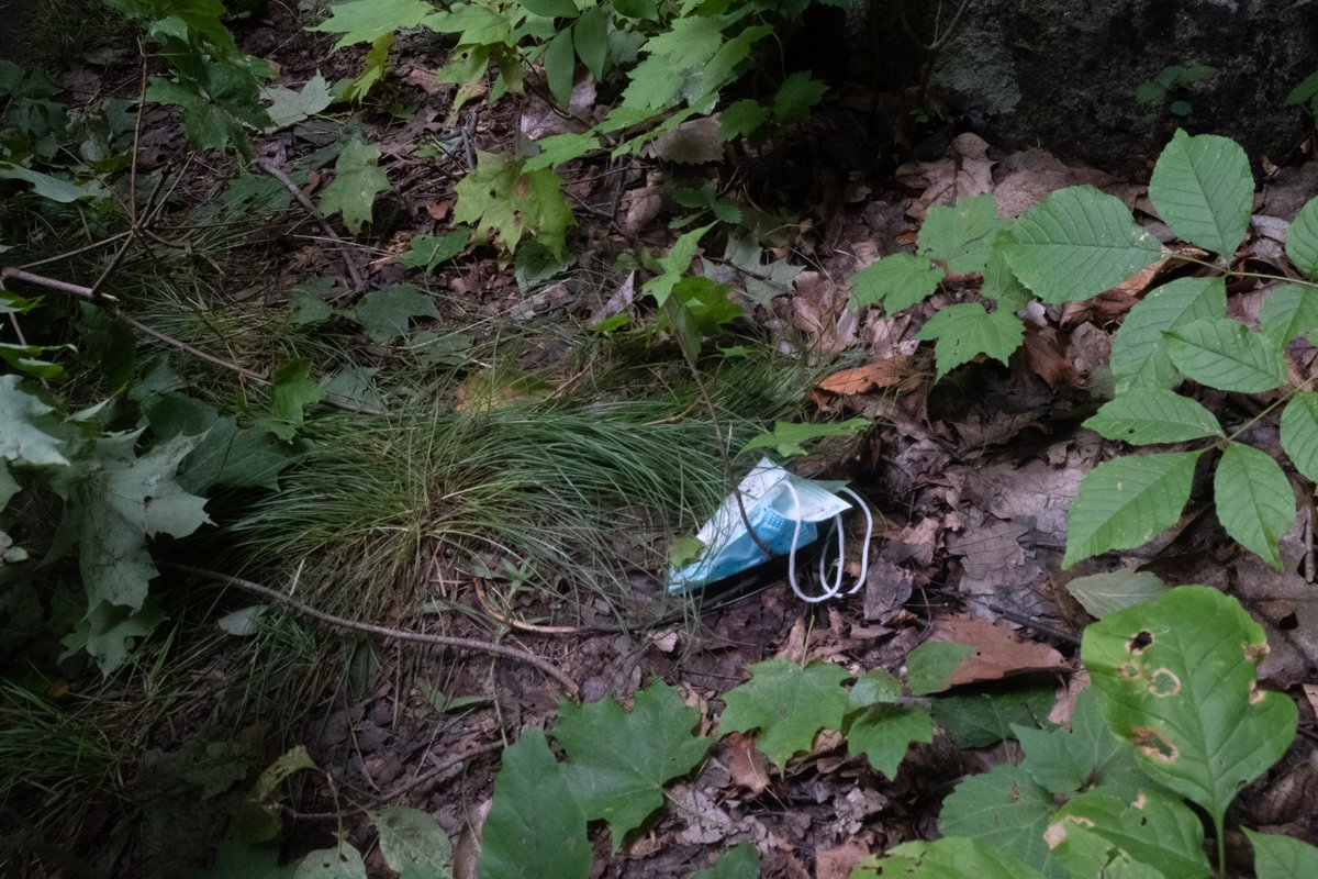 NewJerseyDEP's tweet photo. It’s the way you don't properly dispose of your mask for me.

#ForMeChallenge #MaskUpNJ #DontHangYourMaskOnATree https://t.co/T1rkvnfcIZ