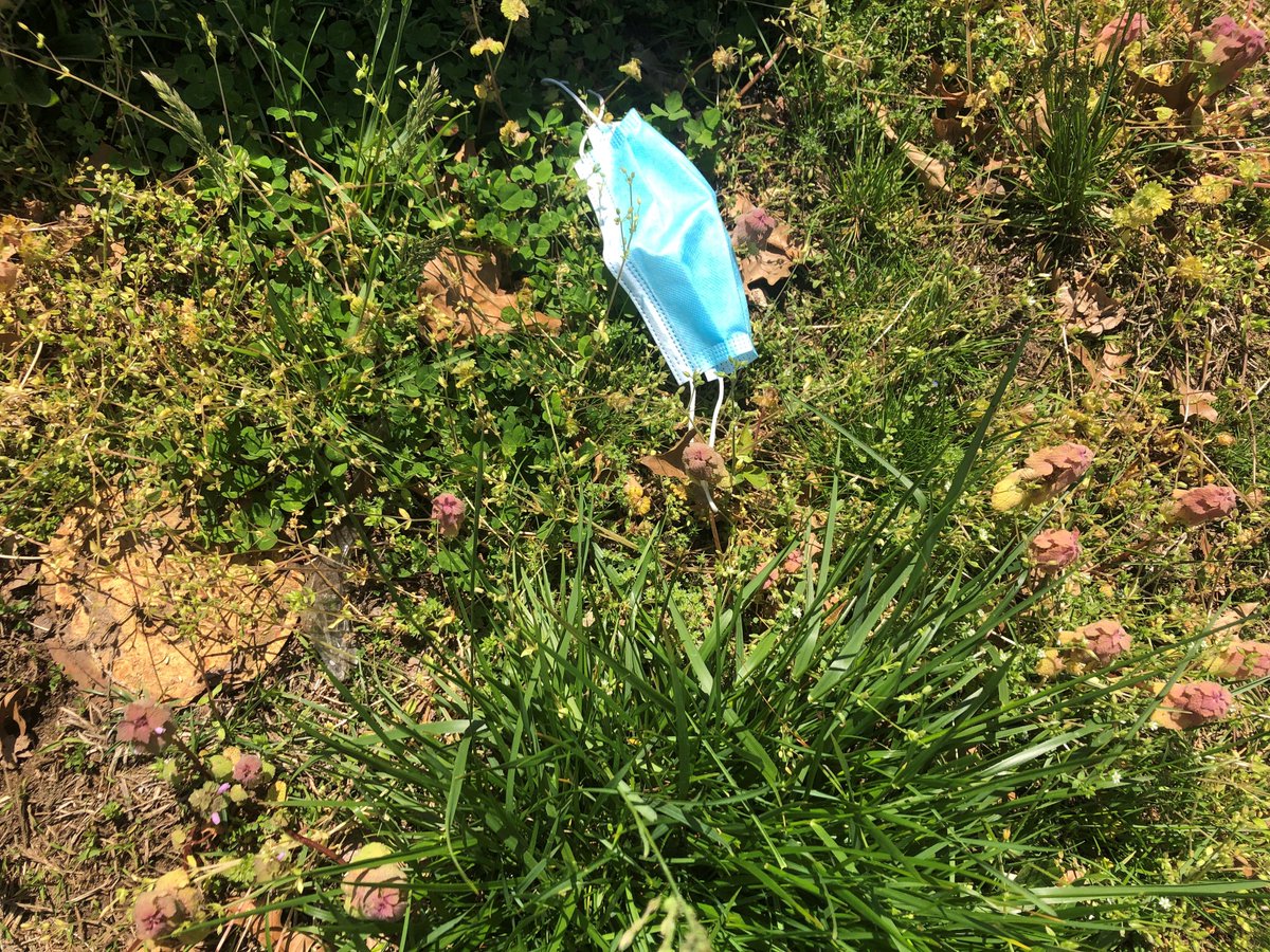 NewJerseyDEP's tweet photo. It’s the way you don't properly dispose of your mask for me.

#ForMeChallenge #MaskUpNJ #DontHangYourMaskOnATree https://t.co/T1rkvnfcIZ