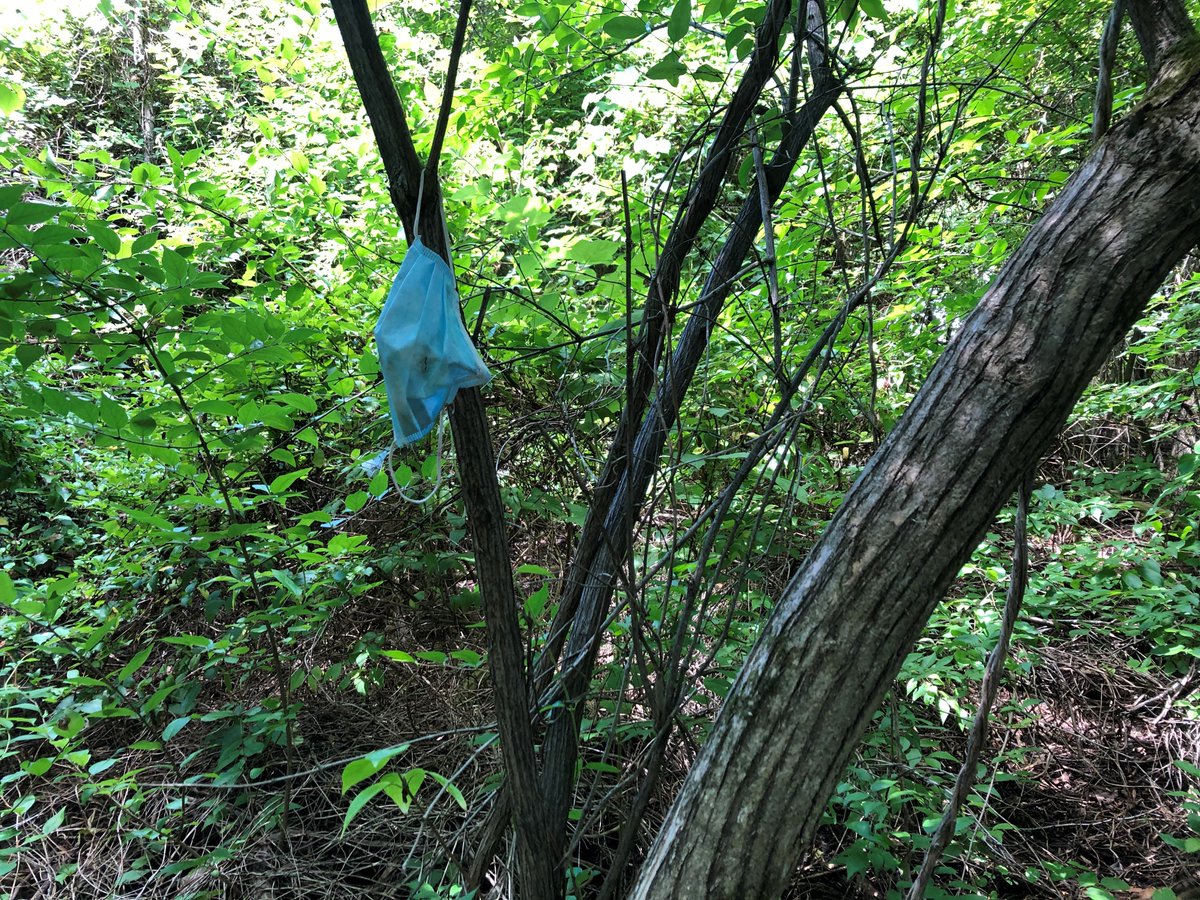 NewJerseyDEP's tweet photo. It’s the way you don't properly dispose of your mask for me.

#ForMeChallenge #MaskUpNJ #DontHangYourMaskOnATree https://t.co/T1rkvnfcIZ