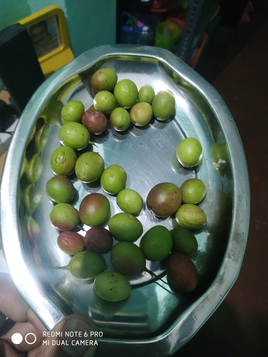 rukmangadan's tweet photo. https://t.co/aIQcu4iytM
