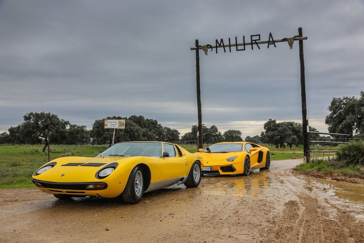 Fel_blan's tweet photo. Pocas historias más bonitas que la historia de Lamborghini y Miura, todo con un apretón de manos. Había mundos mejores. https://t.co/9QbaRxKLWI