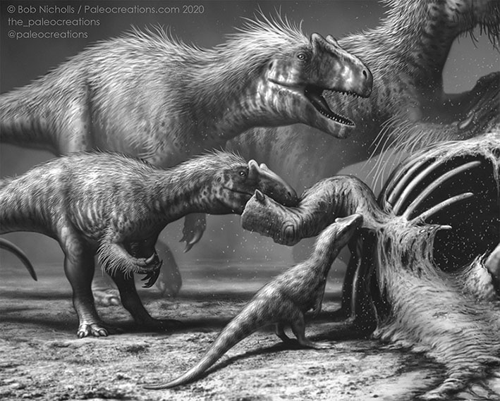 Sixty thousand words and 51 illustrations later, and the book is off to the publisher! 

This has been such an enormous task but @Paleocreations and I are almost there. 

We CANNOT wait until you see this.

Here’s a tiny teaser of a spectacular new artwork included in the book.