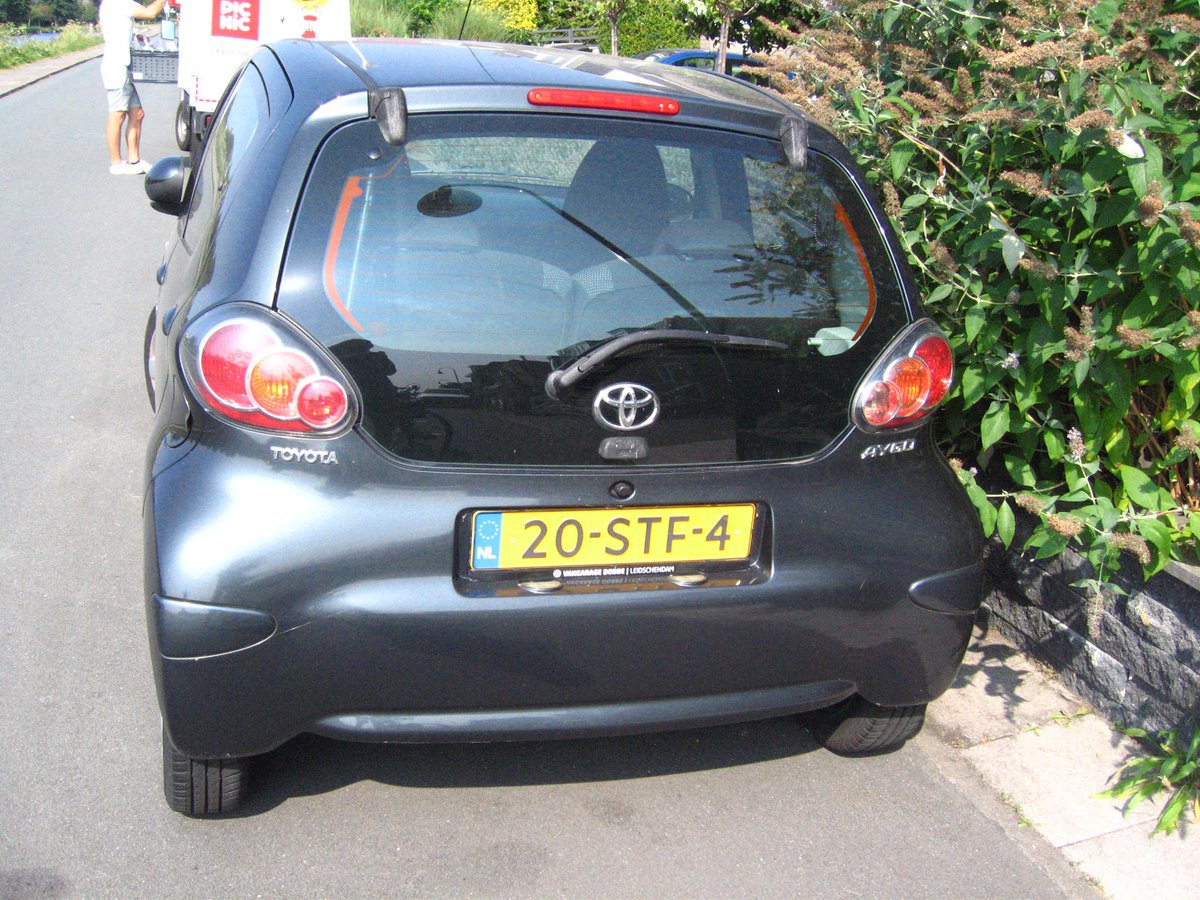 Angelfish888 tweet media