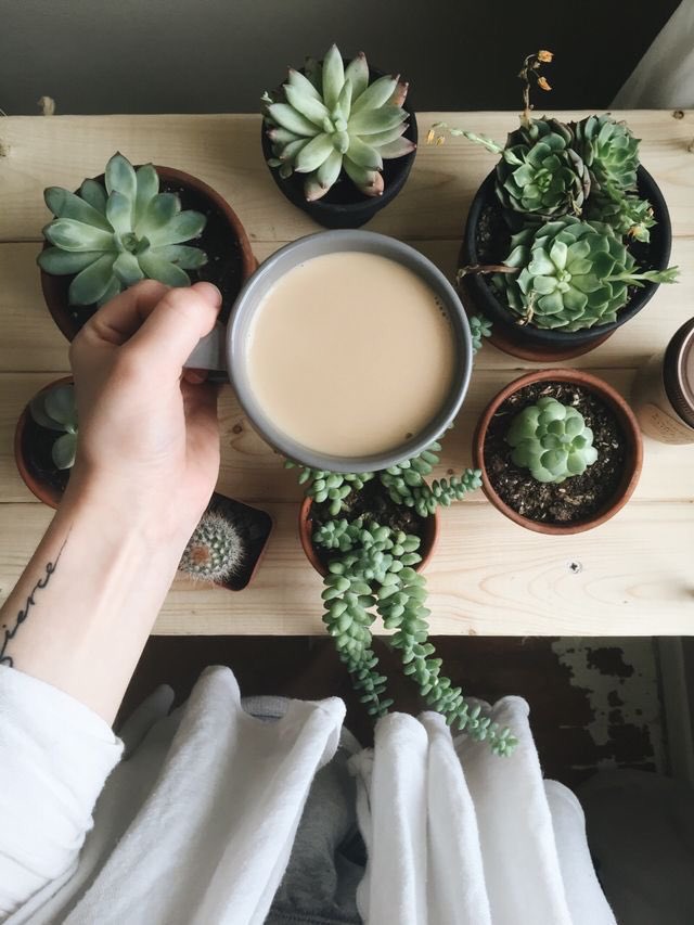 🌱