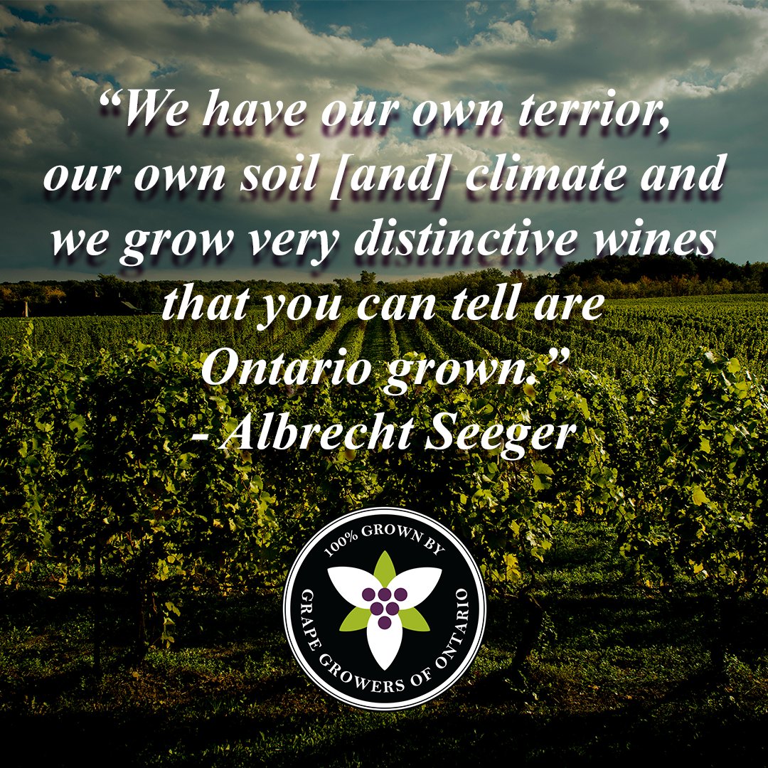 grapegrowersont's tweet photo. Albrecht Seeger had lots of great things to share about Ontario Grape Growers and you can see the passion!😊

What did you think of this episode? Share on social with #BetweenTheVines and tag us @grapegrowersont

Wanting more?
Visit https://t.co/rAYSNbaKai or @CorkScrewedTV

#VQA https://t.co/pqvYrgMbID