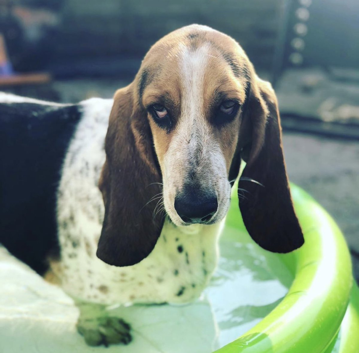 CAKEDEAD tweet media