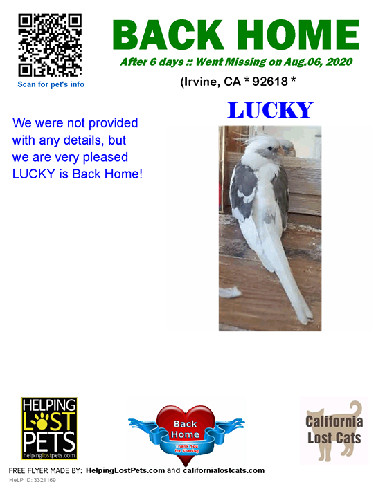 CALostCats's tweet photo. Welcome Home Lucky! https://t.co/NEo2Bi3KU8
