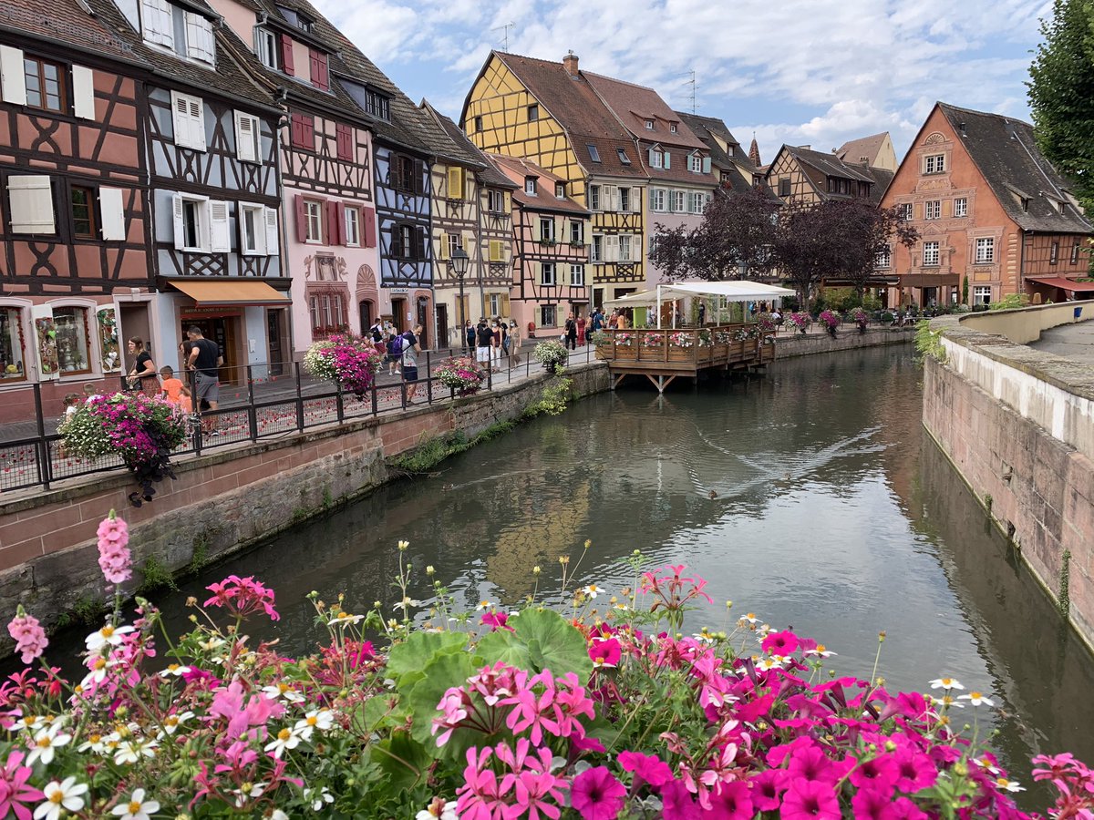 Julia U We tweet media