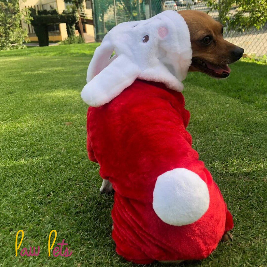 Disfraz de conejo rojo 🐰❤️

Adquiérelo con nosotros $375
Recuerda que tenemos envío GRATIS a toda la República 🇲🇽 #conejo #disfraz #mexico
