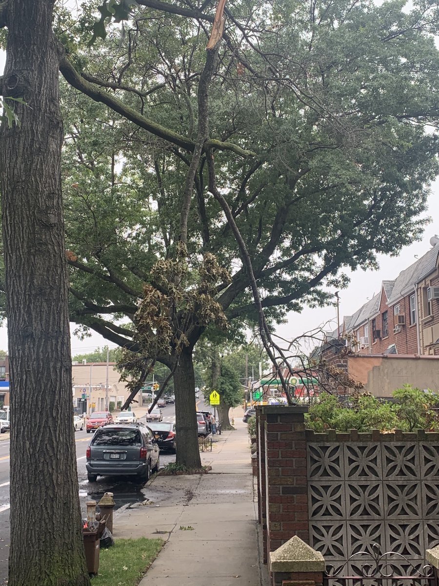 ufatbasted's tweet photo. @NYCMayor Heres another branch hanging since Tuesday 8/4 over a sidewalk on a main street.  At least close the sidewalk so people don't walk under it.  How much effort does it take to tape off the sidewalk?  Where are my taxes going again? https://t.co/ZYZvGfl8FI