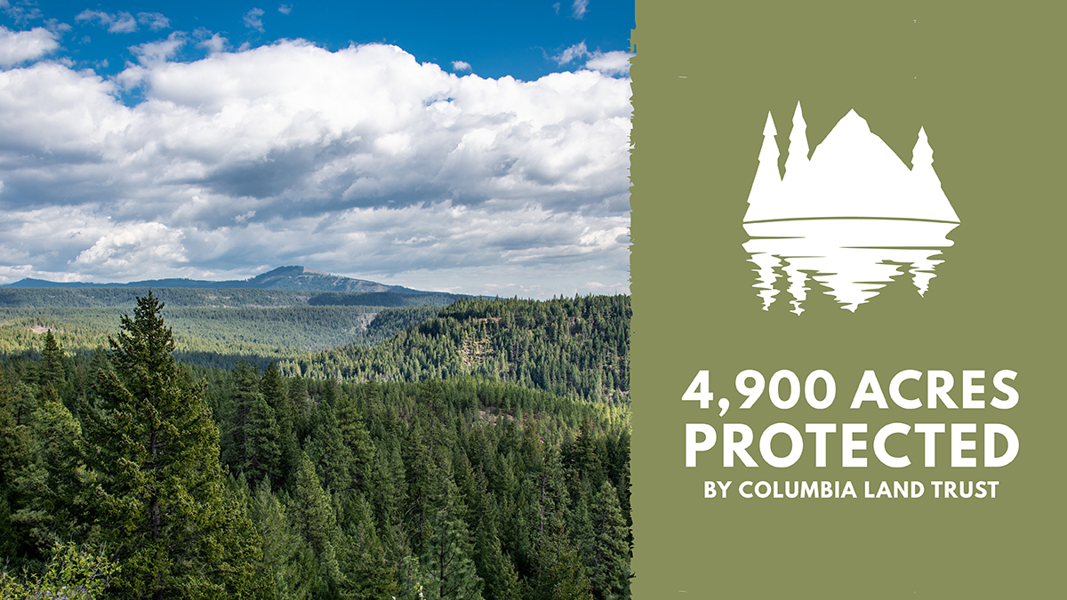 KEEN's tweet image. SUCCESS! Conservation Alliance grantee @ColumbiaNature just conserved 4,900 acres in Klickitat Canyon, Washington on ancestral Yakama land. This benefits recreation, wildlife, and habitat connectivity along the wild and scenic Klickitat River.
 
#WeKeepItWild
📸: Brian Chambers