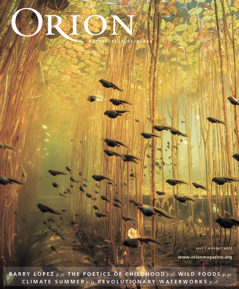 Orion_Magazine's tweet photo. We just 💚 this cover so much. Hope it adds some needed lightness to your day. That's all. That's the post. Photo: Eiko Jones. https://t.co/J3KfOmcLqS