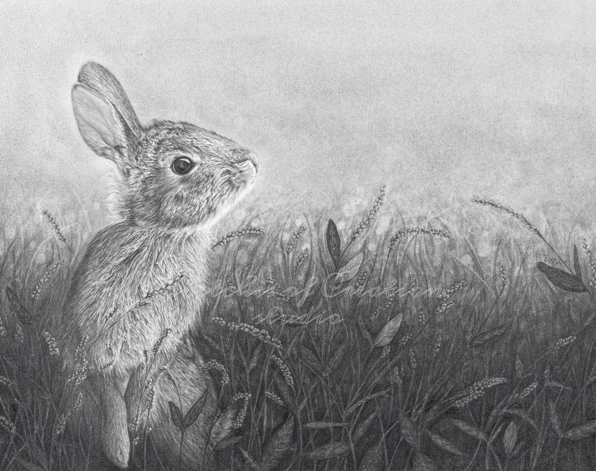 sketch_creation's tweet photo. “Curious” 11x14” Completed July 2020
Graphite pencils and powder https://t.co/4sx5A3Rgqy