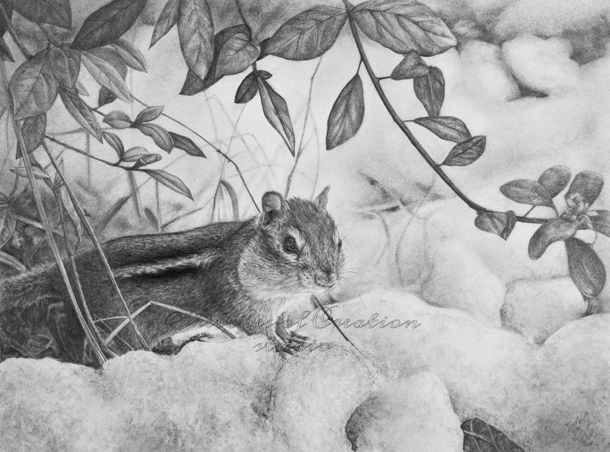 sketch_creation's tweet photo. “Into the Snow” 9x12” Completed August 2020
Graphite pencils and powder https://t.co/IwnHWnT86z
