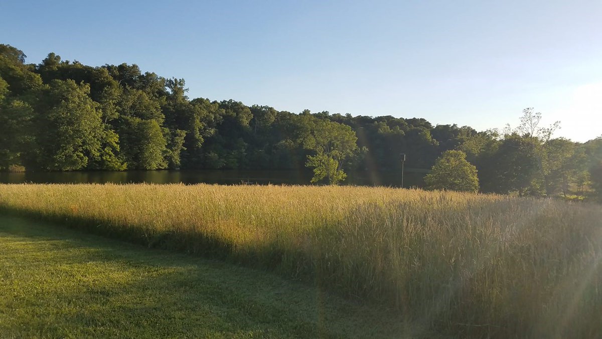 Fields of gold - Mount St. Francis, Indiana