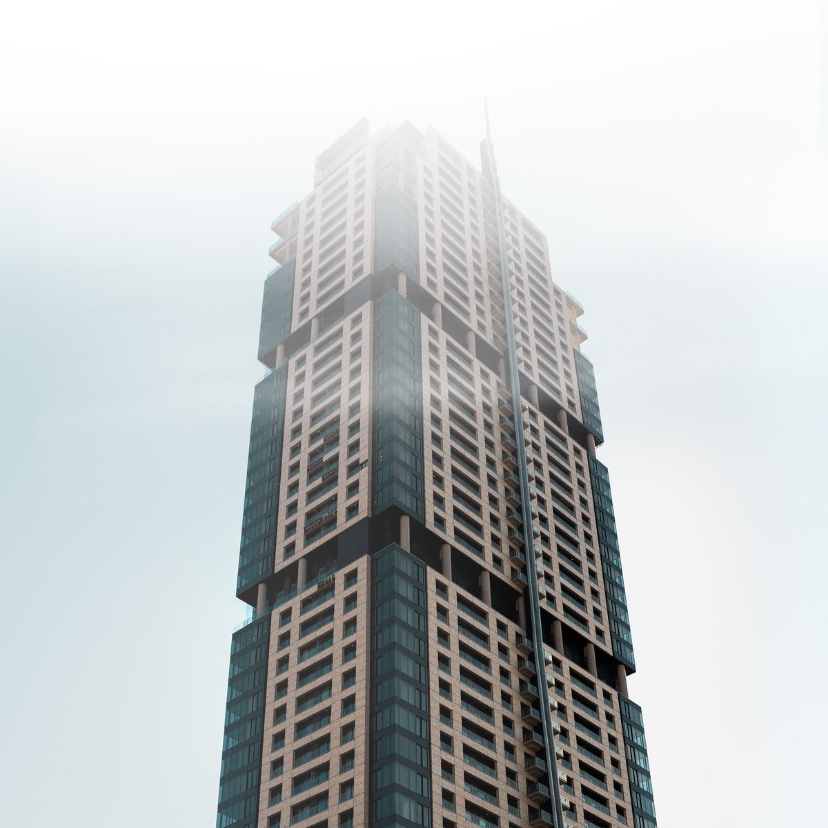 Elijah Palm tweet media