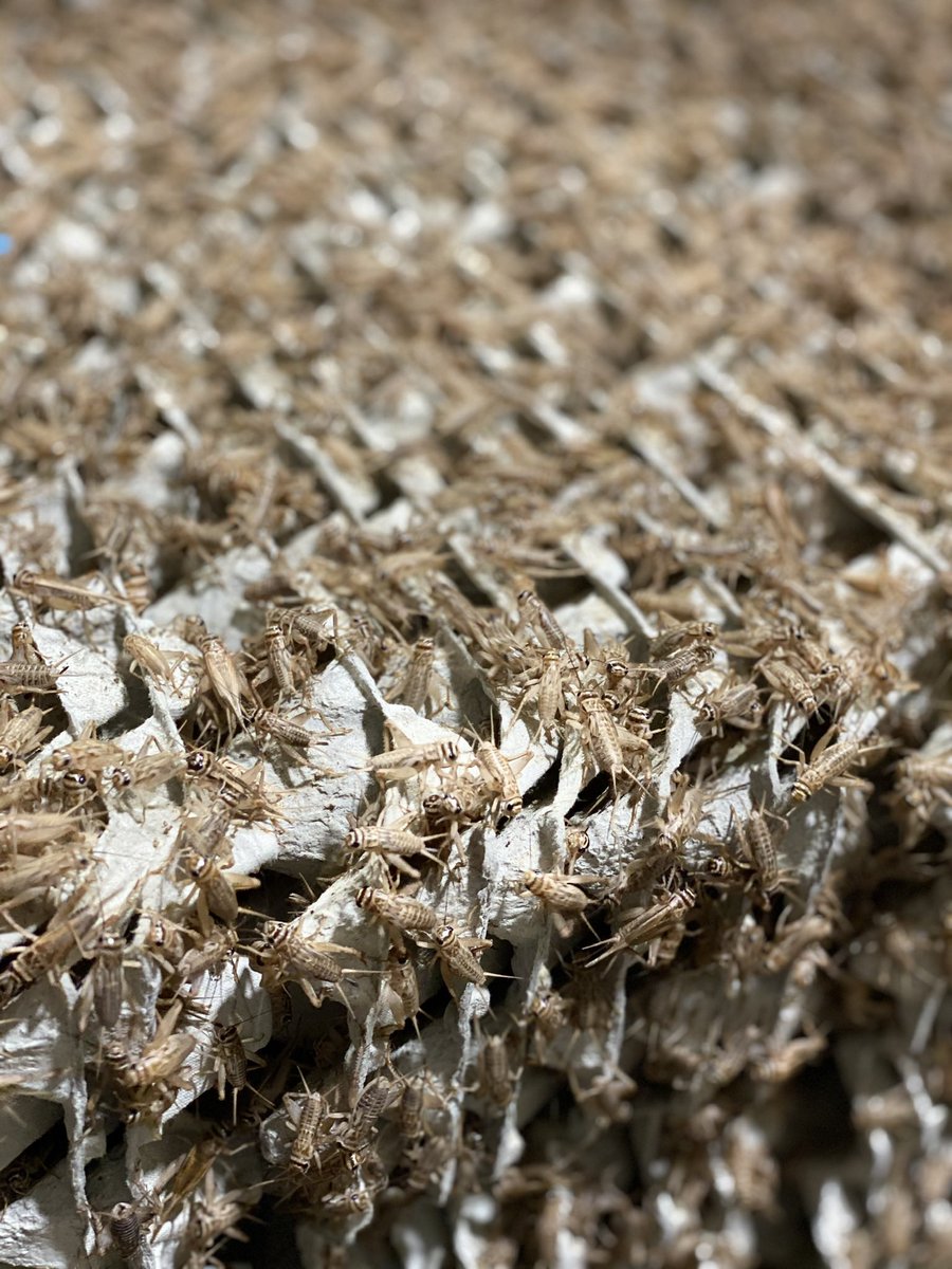 El futuro está cerca...