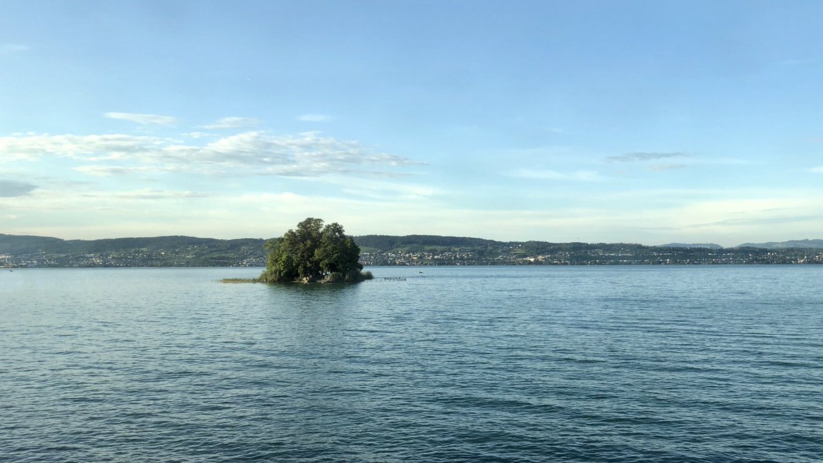 AndreasWiede's tweet image. Train travelling in Switzerland🇨🇭: early evening views from on board an #SBB #InterCity along lakes #Walensee and #Zurichsee @RailService.