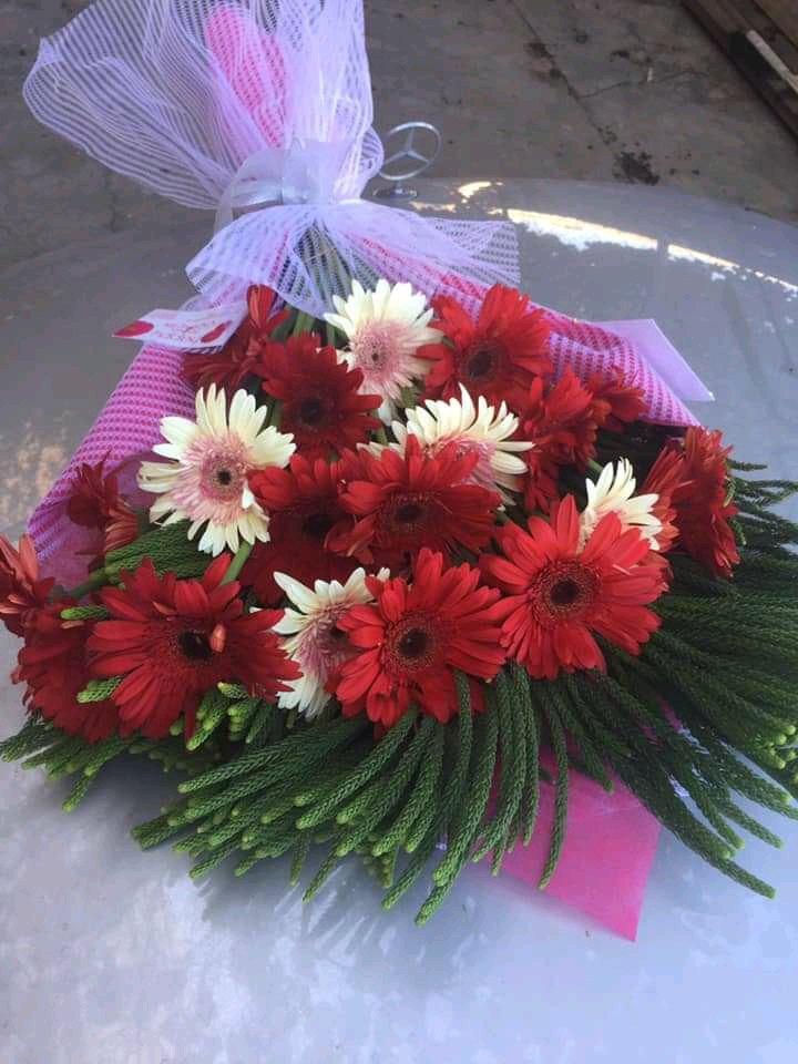 Hello beautiful how are your doing baby have a awesome time and wonderful night baby good blessings you