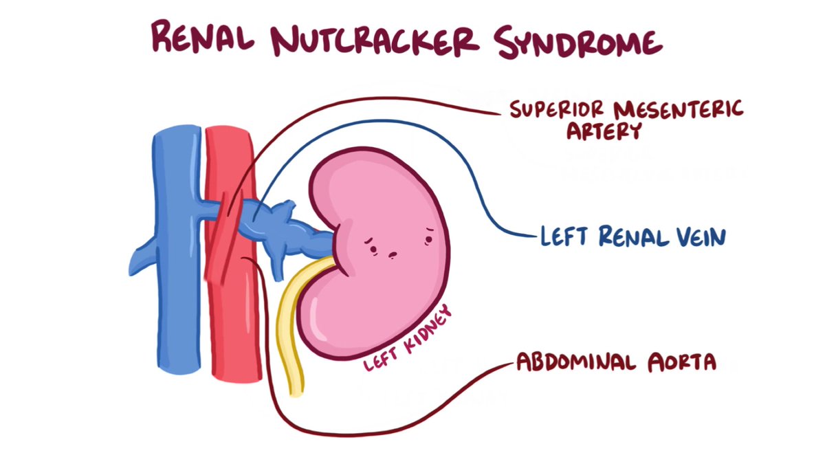 MCW Nephrology tweet media